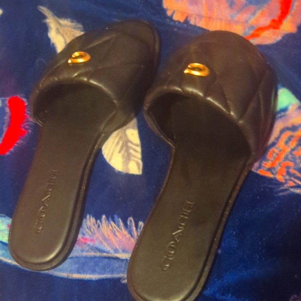 Coach Black and Gold Slippers with Elegant Metallic Details